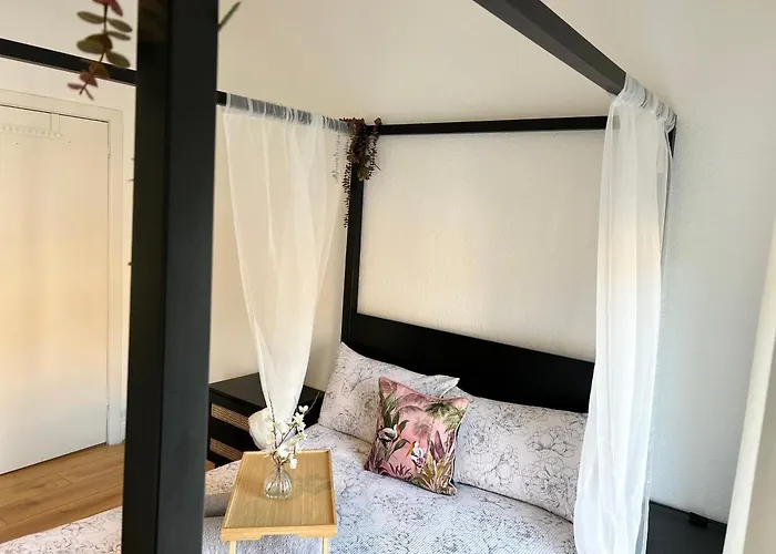 Home For Your Belfast Escape!